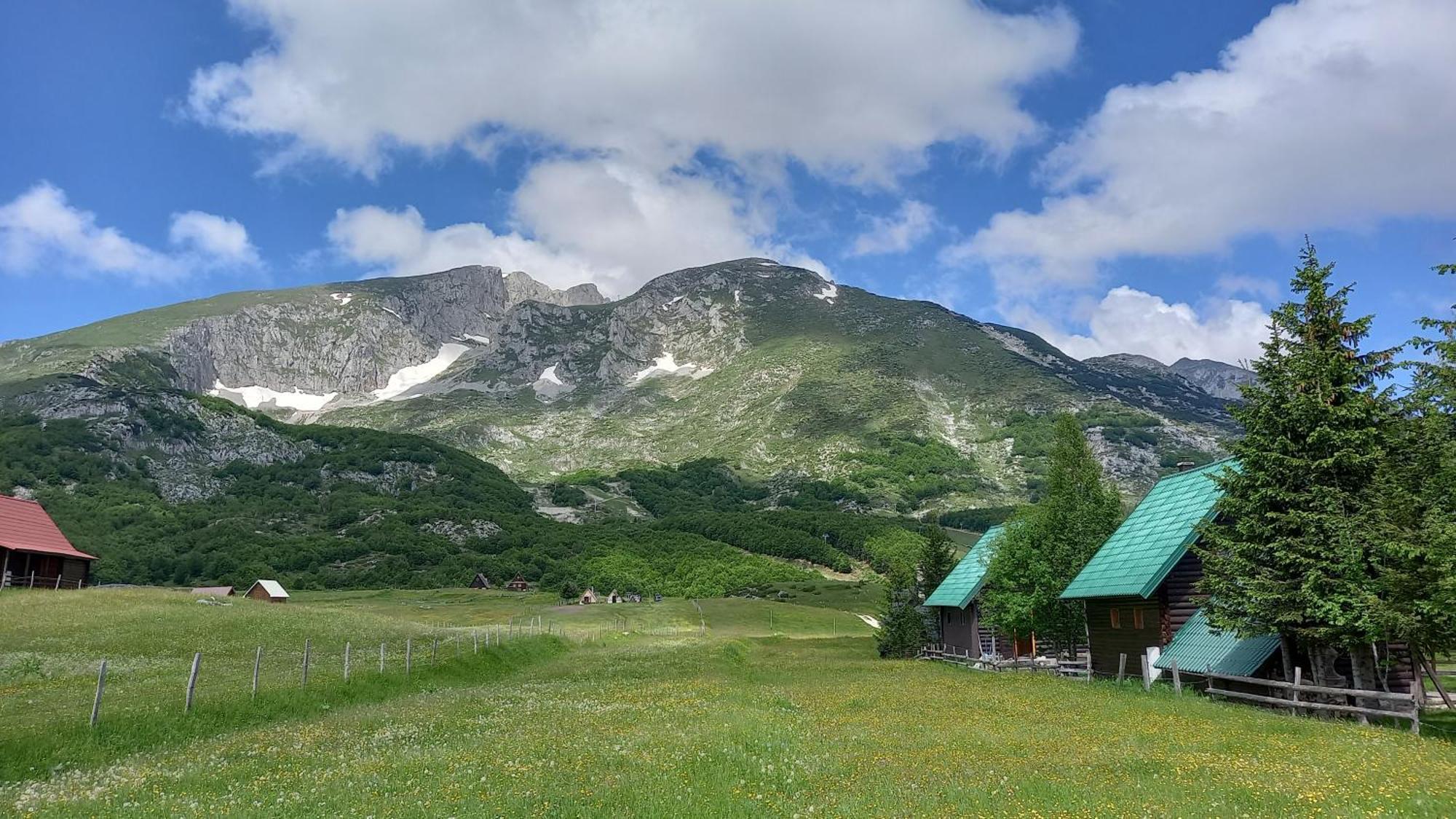 Family Farm Apartments Žabljak Buitenkant foto