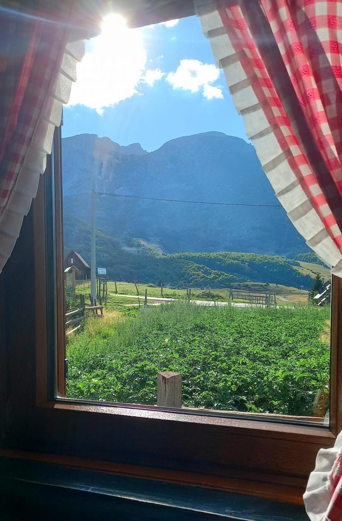 Family Farm Apartments Žabljak Kamer foto