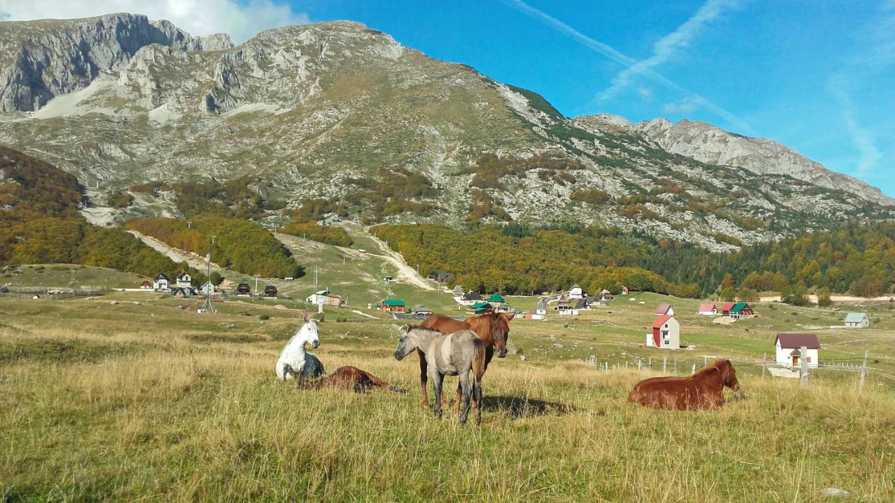 Family Farm Apartments Žabljak Buitenkant foto